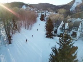 Sunrise Mountain Village
